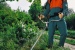 Фото 2 - Мотокоса STIHL FS 55