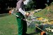 Фото 4 - Мотокоса STIHL FS 55