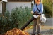 Фото 2 - Електричний всмоктуючий подрібнювач STIHL SHE 81