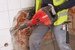 Фото 4 - Відбійний молоток HILTI TE 700-AVR